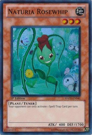 Naturia Rosewhip | Hidden Arsenal 2 | HA02-EN041 | Super Rare | 1st