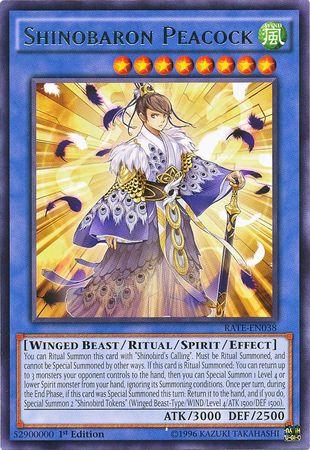 Shinobaron Peacock | Raging Tempest | RATE-EN038 | Rare | 1st