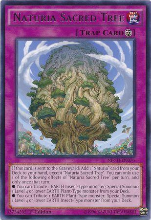 Naturia Sacred Tree | The New Challengers | NECH-EN076 | Rare | 1st