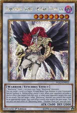 Blackwing Tamer - Obsidian Hawk Joe | Premium Gold: Return of the Bling | PGL2-EN012 | Gold Secret Rare | 1st