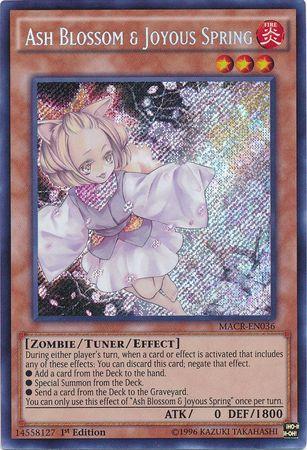 Ash Blossom & Joyous Spring | Maximum Crisis | MACR-EN036 | Secret Rare | 1st
