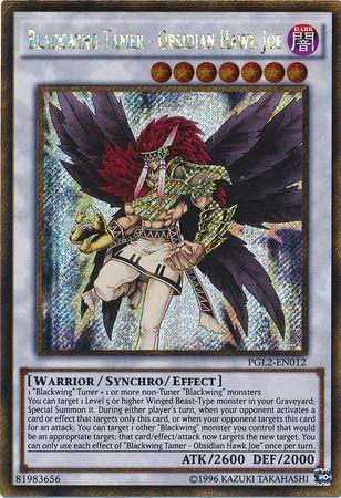 Blackwing Tamer - Obsidian Hawk Joe | Premium Gold: Return of the Bling | PGL2-EN012 | Gold Secret Rare