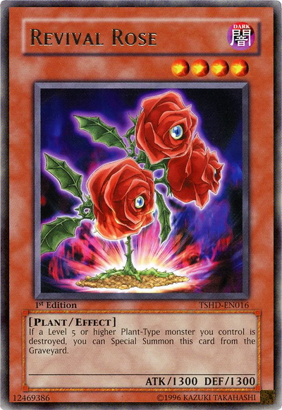 Revival Rose | The Shining Darkness | TSHD-EN016 | R