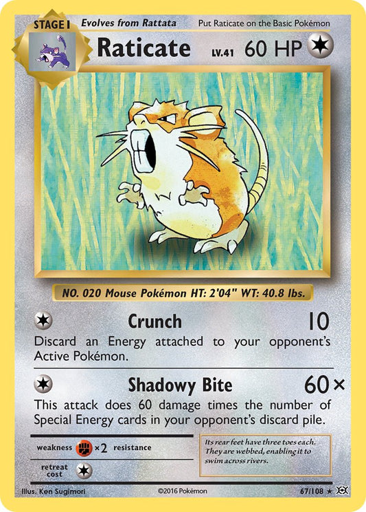 Raticate | EVO | XY | 67/108 | New Mint | Rare